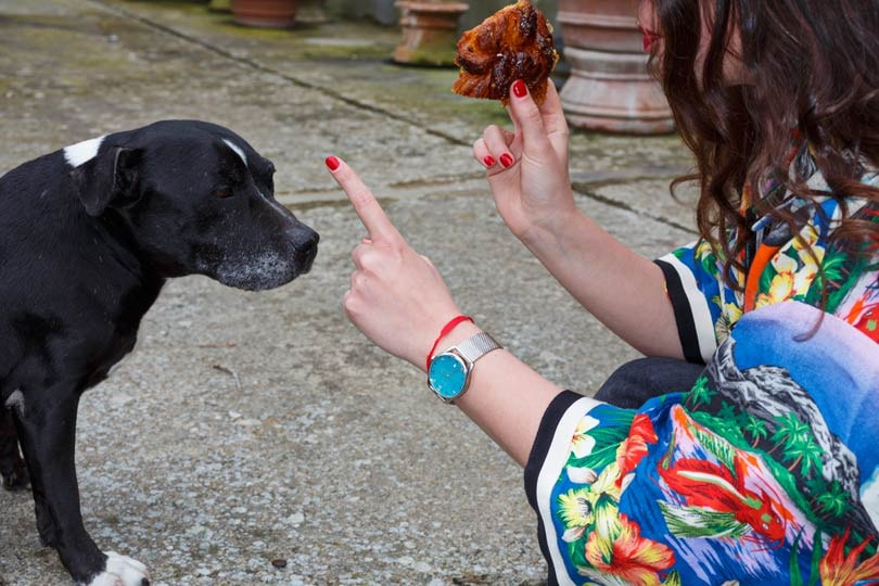 Gucci fait appel à Martin Parr pour un projet sur Instagram Gucci fait appel à Martin Parr pour un projet sur Instagram