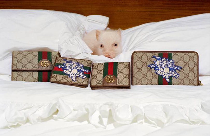 Gucci : une collection dédiée à l’année du cochon Gucci : une collection dédiée à l’année du cochon