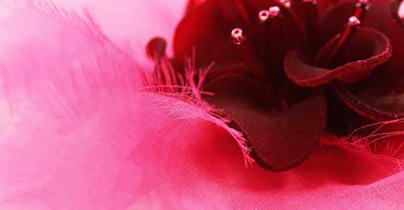 Fashion Tech : le bio-sourcing est - il l’avenir de la mode ? Fashion Tech : le bio-sourcing est - il l’avenir de la mode ?