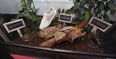 Puma lance une collection biodégradable Puma lance une collection biodégradable